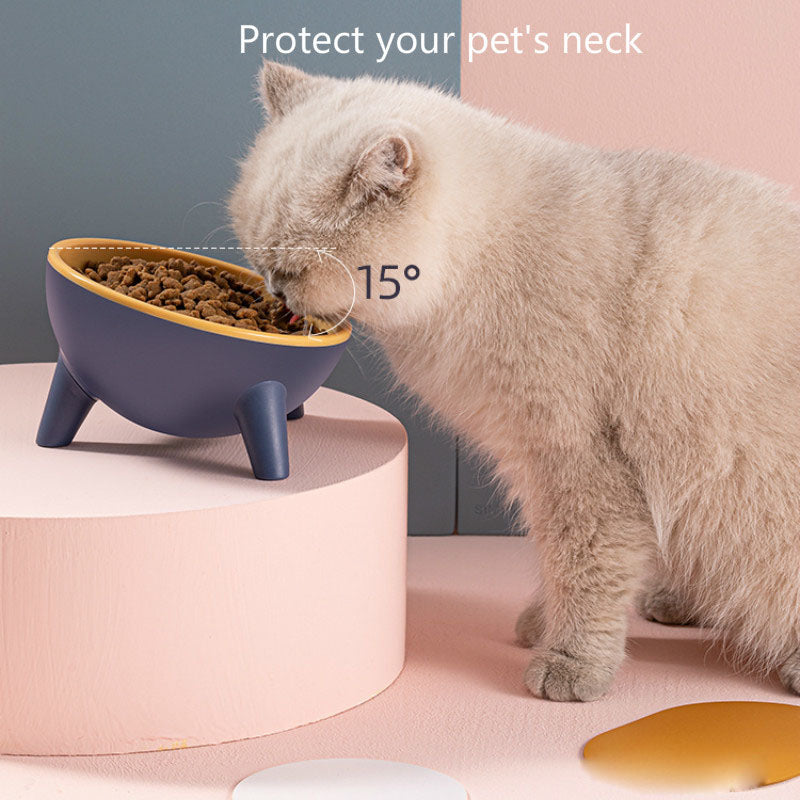 "Healthy Pet Feeding: 15° Tilted, Durable Cat Bowl