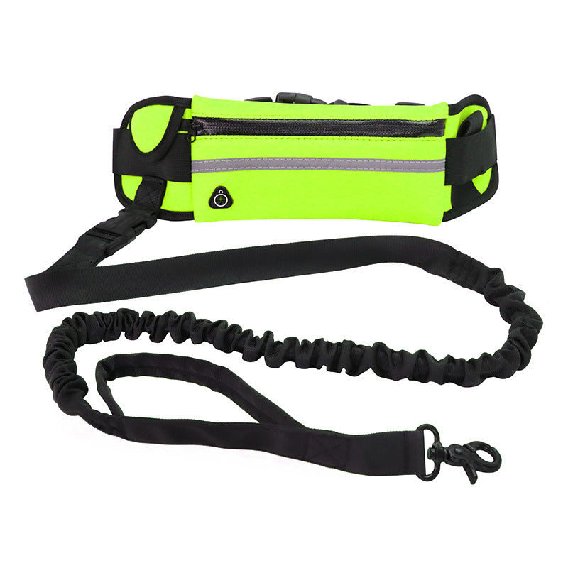 "Hands-Free Dog Leash: Comfort & Control for Large Breeds