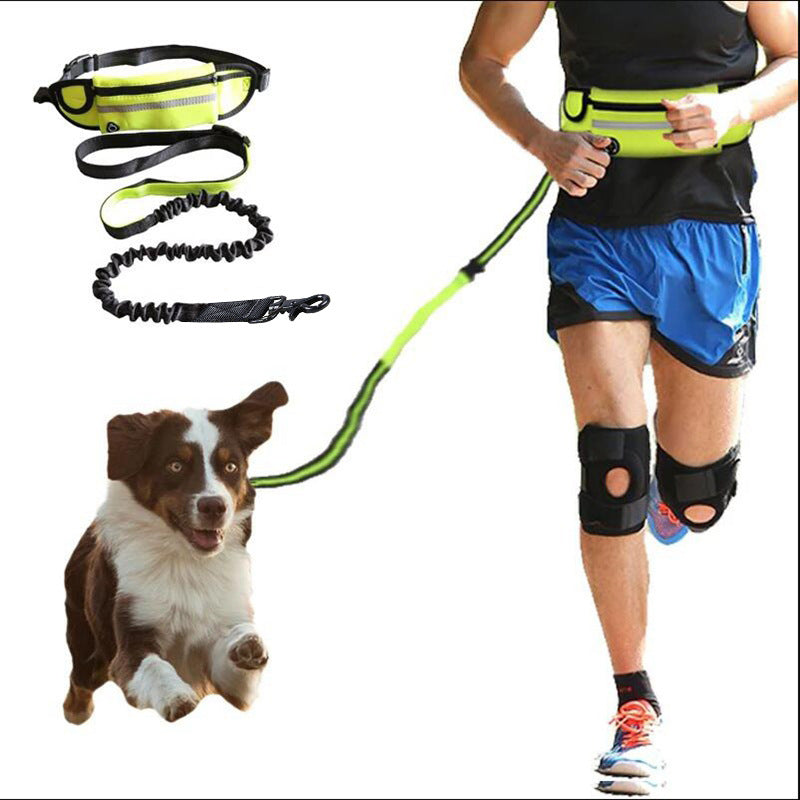 "Hands-Free Dog Leash: Comfort & Control for Large Breeds