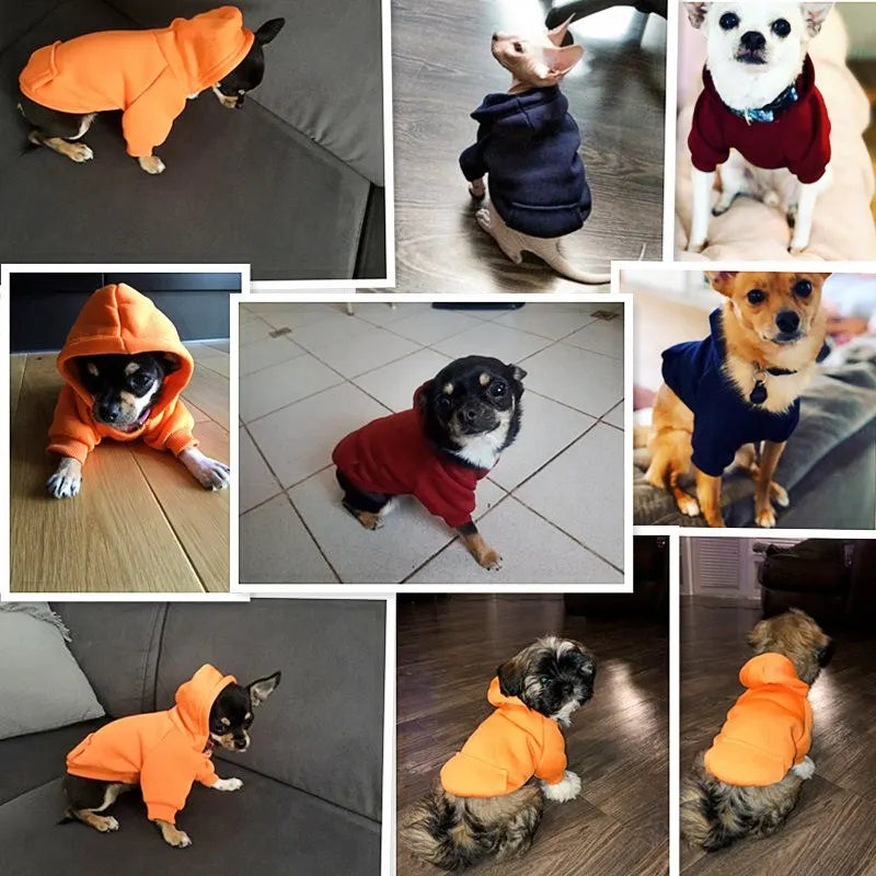 Get Warm Hoodies for Small & Large Dogs – Cozy & Stylish