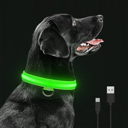 Glowing Safety Collars: Light Up Your Dog's Night!