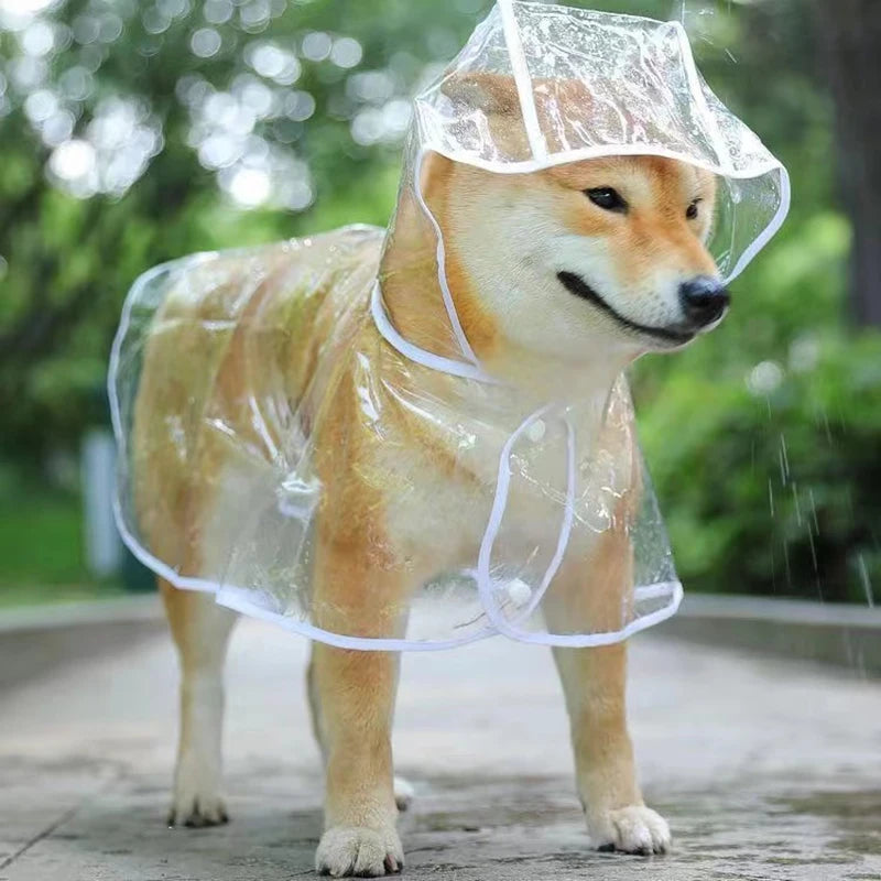 Transparent Puppy Rainwear - Keep Your Pet Dry in Style