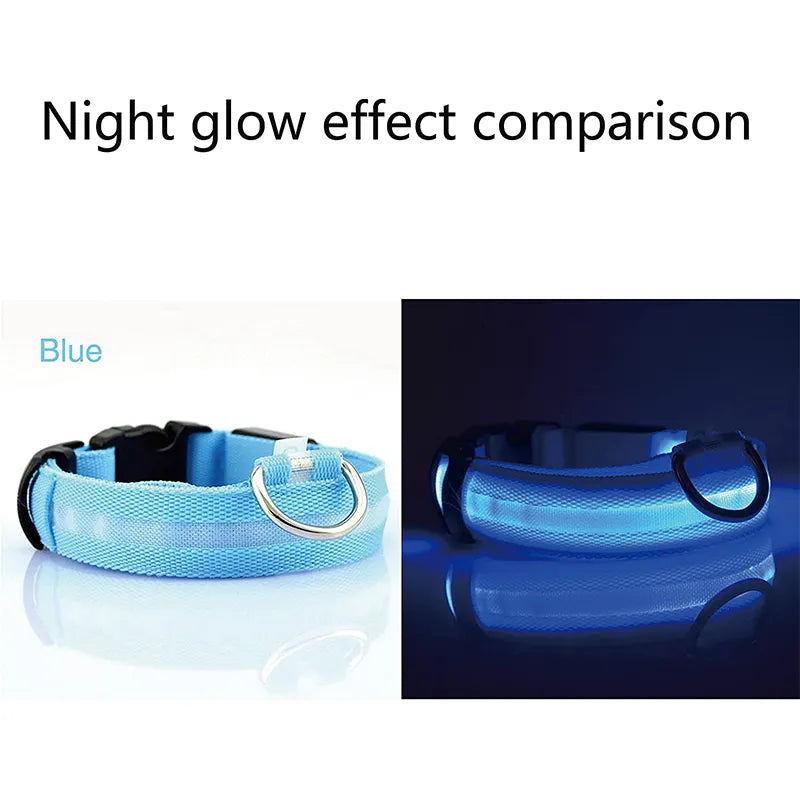 Glowing Safety Collars: Light Up Your Dog's Night!