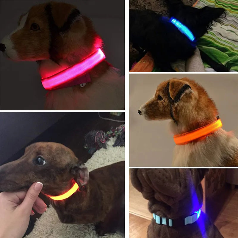 Glowing Safety Collars: Light Up Your Dog's Night!