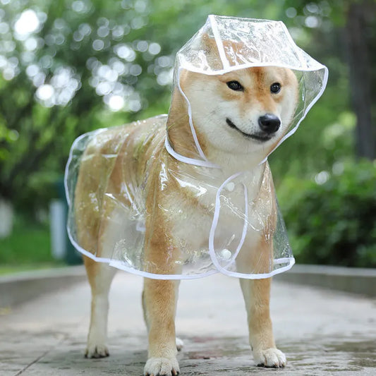 Transparent Puppy Rainwear - Keep Your Pet Dry in Style