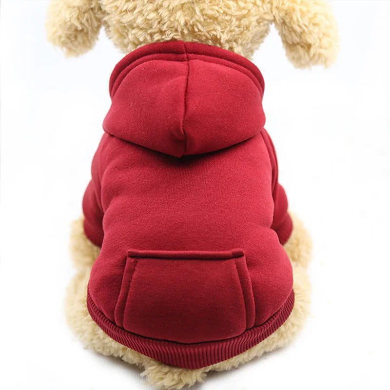 Get Warm Hoodies for Small & Large Dogs – Cozy & Stylish