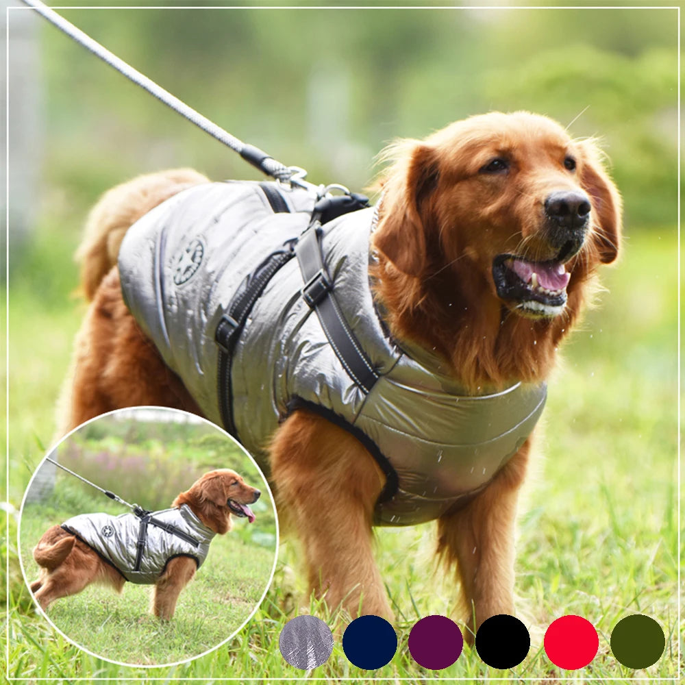 Winter-Ready Large Dog Jackets with Built-In Harness