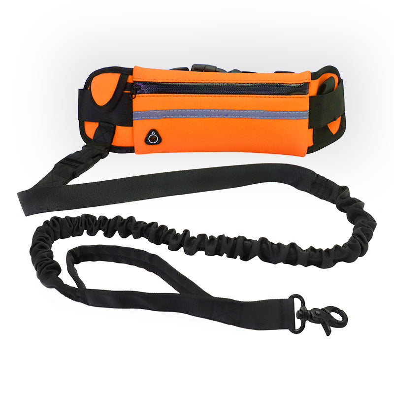 "Hands-Free Dog Leash: Comfort & Control for Large Breeds