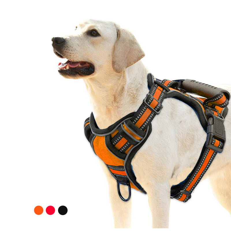 No-Pull Dog Harness: Breathable & Reflective for Safety